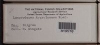 Image Associated With the Occurence